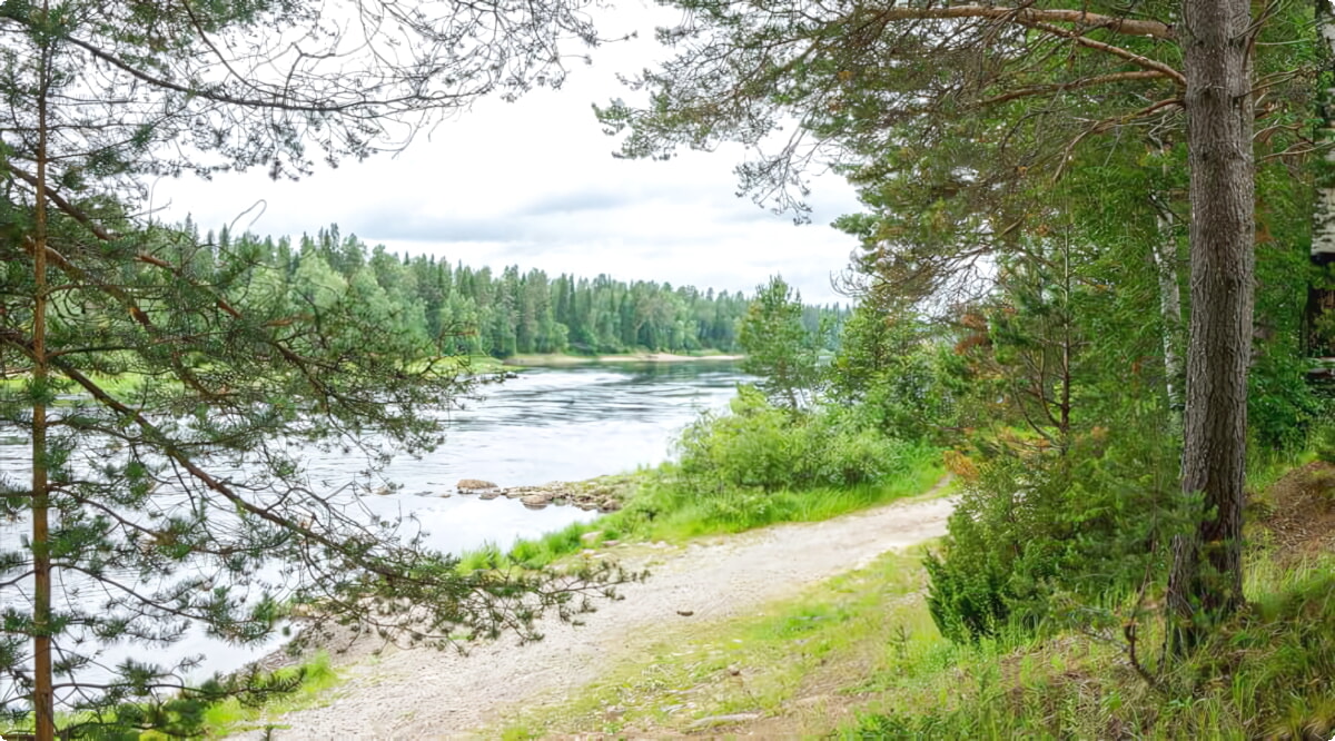 Nosso inventário inclui uma ampla variedade de veículos.
